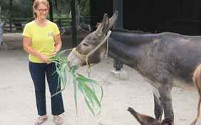 Die gesamte Familie Avlonitis kümmert sich liebevoll um die Farm und ihre kleinen und großen Gäste.